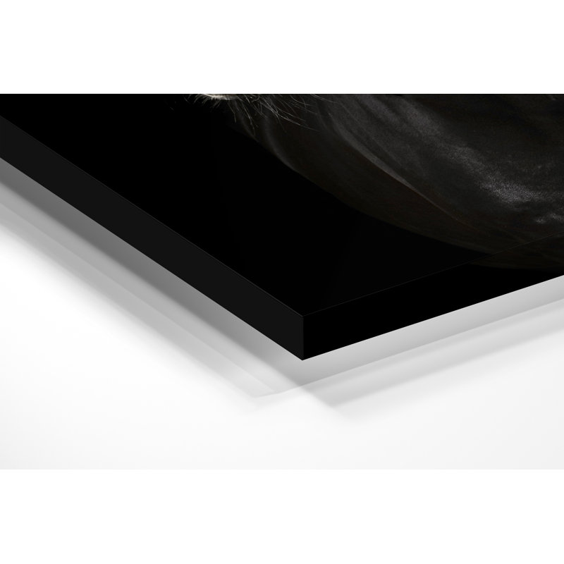 Décoration murale en acrylique noir avec visage de cheval noir, H 40 po x l 30 po