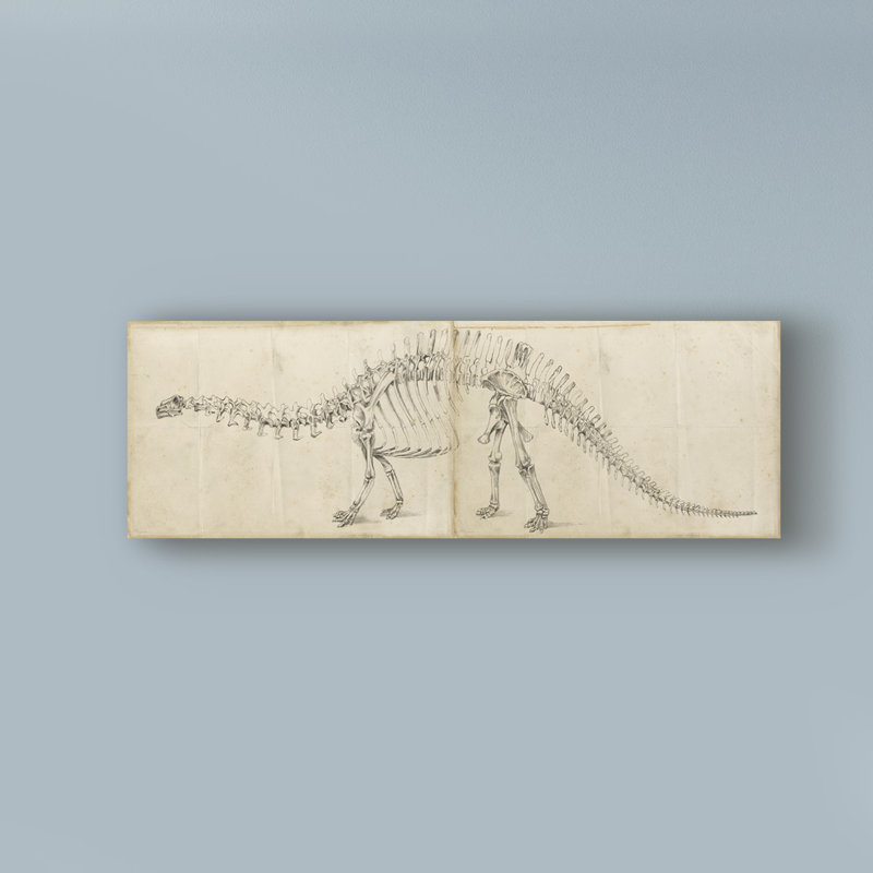 «Dinosaur Study I» par Ethan Harper - reproduction d'art sur toile tendue, H 16 po x l 47 po x P 2 po