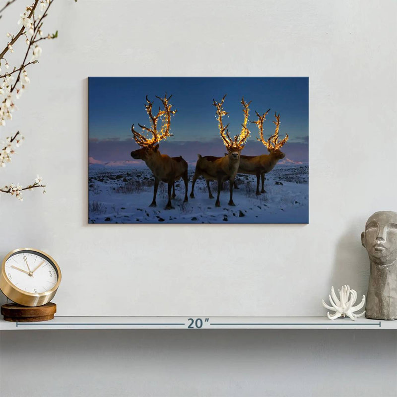 Brampt Illuminated Reindeers, 8" H x 12" W