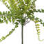 Plante à pulvérisation