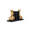 Cony Bookends