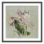 «Botanical Posters», Jardin Botanique-60137081-60137082