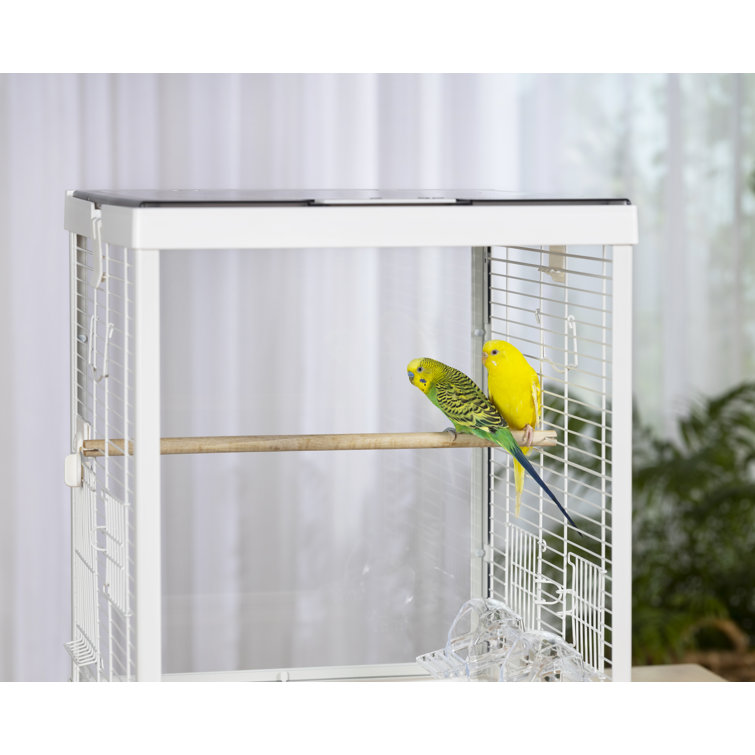 Prevue Hendryx Cockatiel Bird Cage - Assorted Colors - Multipack - 16 x  16 x 22 - Pack of 4