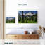 Pin d'Alvord et mont Rainer-107690361