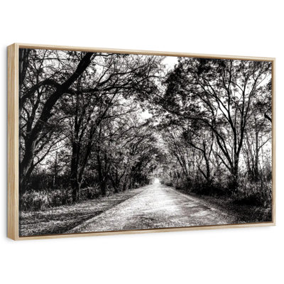 Chemin forestier BW