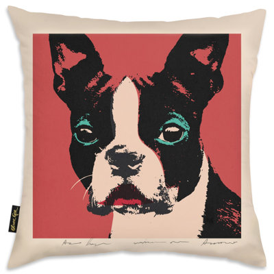 Throw Pillow