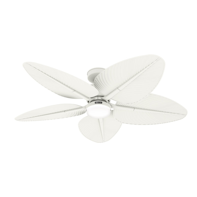 Hunter 52 inch Tropic View Damp Rated Ceiling Fan with Lights and Wall Control, White
