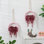 Plantes artificielles suspendues Jardinière artificielle Faux succulentes Chaîne artificielle de perles avec pot et cordon pour décoration murale de bureau à domicile