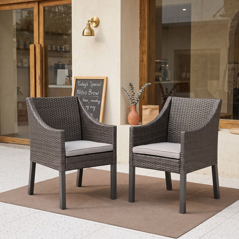 Ensemble de 2 chaises d'extérieur en osier