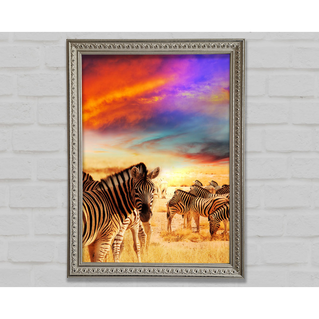 Gerahmtes Bild Stunning Zebra Skies