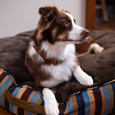 Lit pour chien à rayures rondes avec fourrure