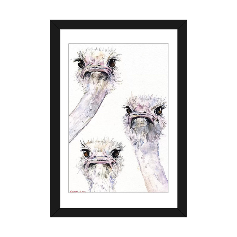 «Ostriches» par George Dyachenko - reproduction d'art sur toile tendue, H 24 po x l 16 po x P 1 po, Papier d'art encadré noir