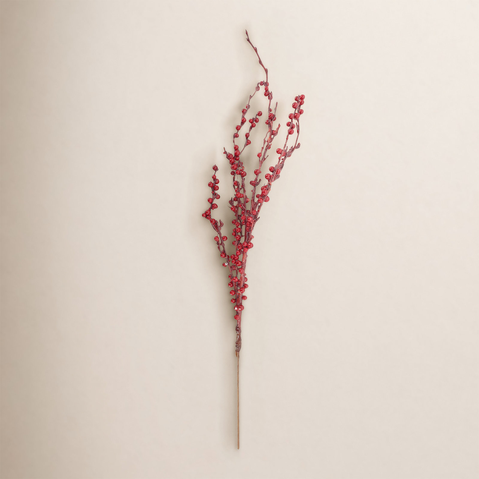 Red Berry Stems