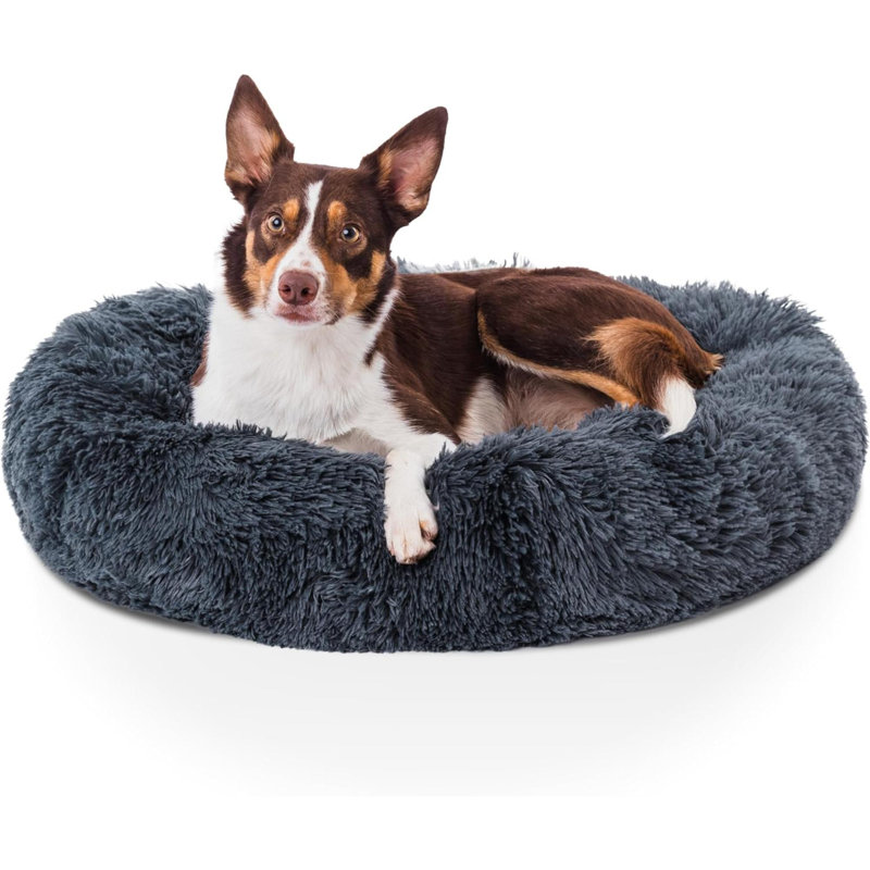 Pet Bed