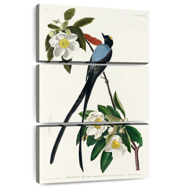 Brampt Fork-Tailed Flycatcher, 74" H x 48" W