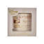 Magical Beginnings Pooh Money Box