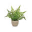 Ensemble de 3 plantes artificielles en pot