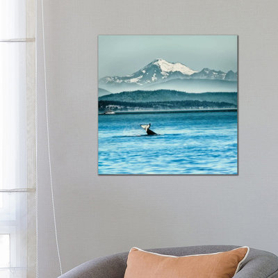 Whale Tale by MScottPhotography - Wrapped Canvas Gallery-Wrapped Canvas Giclée