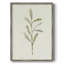 «Olive Leaves III», reproduction encadrée - bois massif-449455303