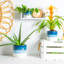 Nicola Spring - Reactive Glaze Plant Pots-63880890-63880896