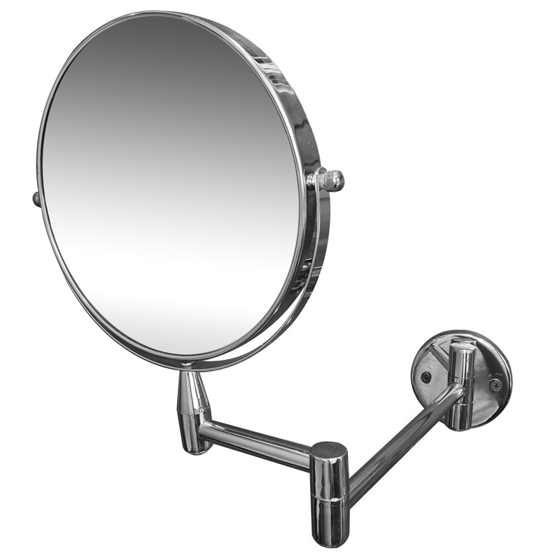Alexeia Metal Flat Wall Mirror