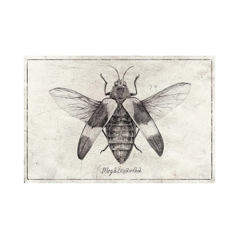 Megaloxanthia by Mike Koubou - Wrapped Canvas Gallery-Wrapped Canvas Giclée, 66.04 cm H x 45.72 cm W