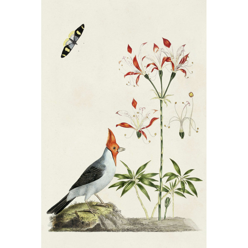 Bird in Habitat I - Impression sur toile tendue, H 48 po x l 32 po