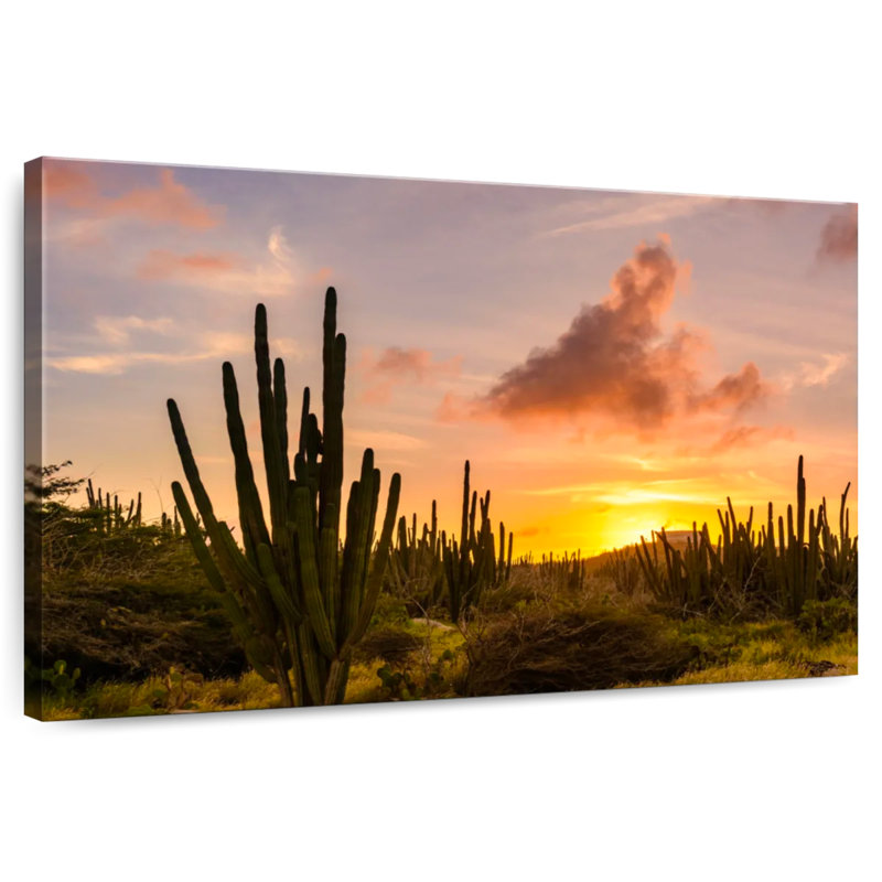Harnek cactus coucher de soleil, H 26 po x l 39 po