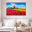 Champ de tulipes Alvord Holland-108736694