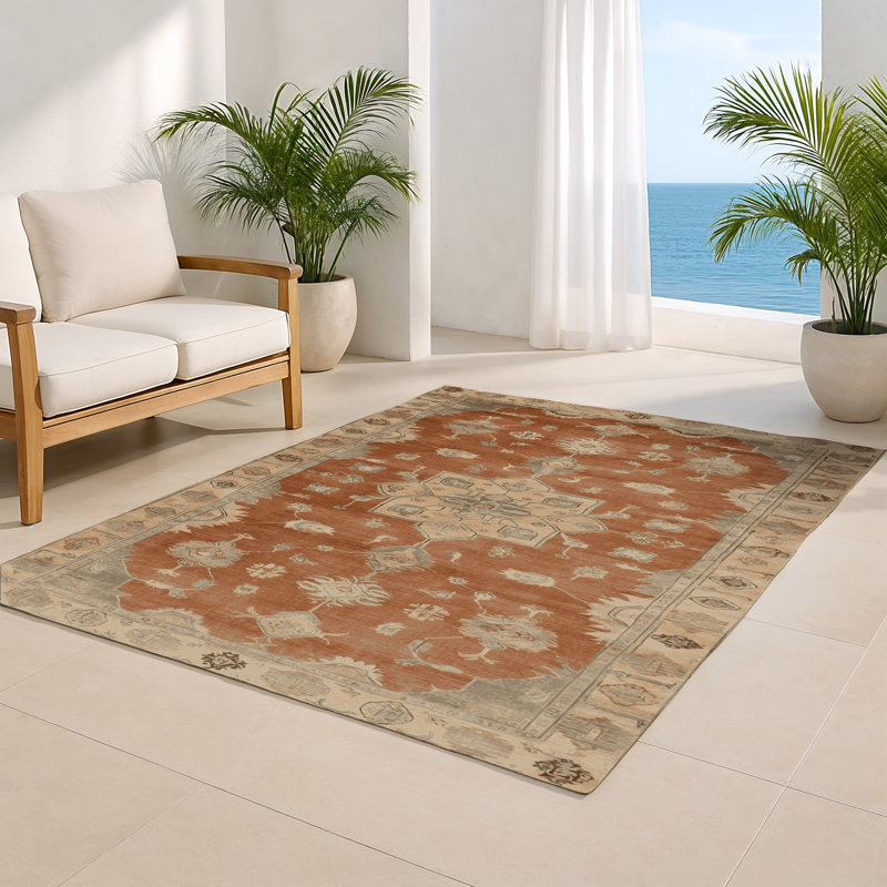 Tapis intérieur et extérieur brun Overdyed, Rectangulaire 2 pi x 3 pi