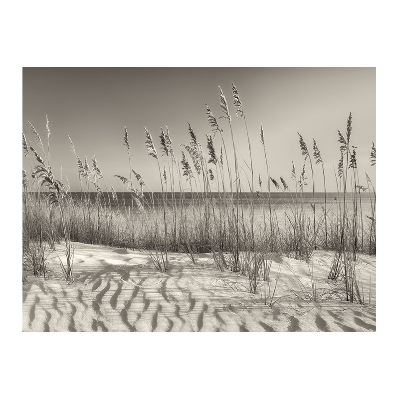 Print on Canvas, Paper