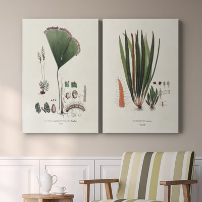 Bannière de la Botanical Society - Toile tendue avec châssis de qualité supérieure - Prêt à être accroché