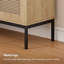  2 Door Tall Rattan Sideboard