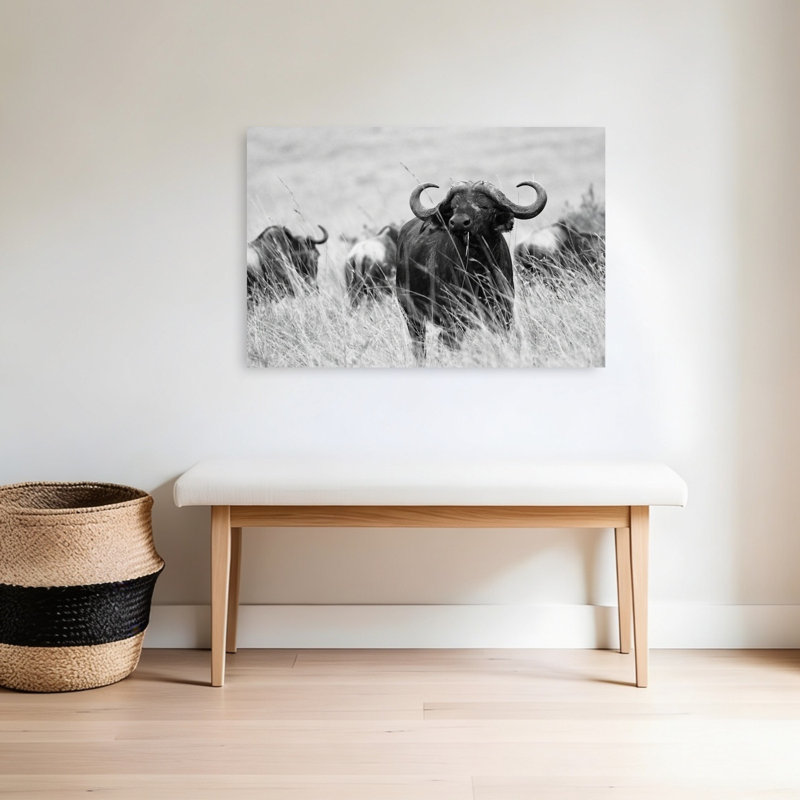 «Monkey Buffalo Stare», art mural contemporain, 24" H x 36" W