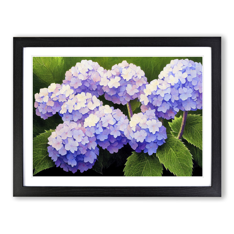 Hydrangea Flower View Vol.1 1 Piece Single Picture Frame Wall Art, 25cm H x 34cm W x 2cm D, Black