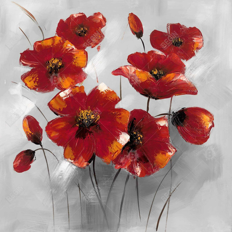 " Anemone Flowers "