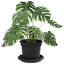 Pot Planter-1156915636-1156915638