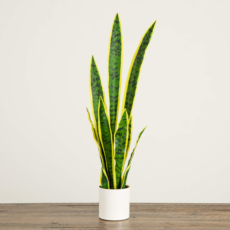30 po Plante artificielle Sansevieria