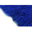 Tapis bleu Nathaniel