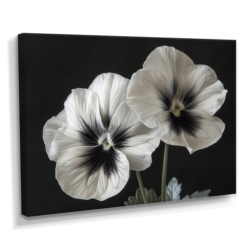 Beauté blanche botanique blanche Pansies II - Pensées Wall Art Living Room, Toile tendue, H 40 po x l 60 po