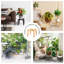 Support à plante d'intérieur et d'extérieur en bois 11,8 po x 12,2 po Wood-286038220-285209481