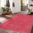 Lahore One-of-a-Kind 4' X 6' 2010s Wool Area Rug in Magenta