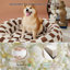 Lit pour chien Lesure Donut Lesure-466789892-442354703