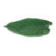 Leaves Earthenware Platter