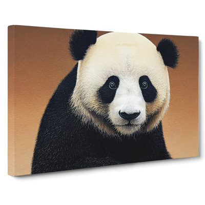 Special Panda - Wrapped Canvas