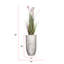 Plante de 68 po