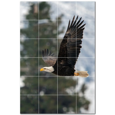 Bird Photo 12'' x 12'' Satin Ceramic Decorative Mural