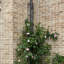 Ensemble de 2 treillis de jardin H 72 po x l 12 po plante d'intérieur / extérieur