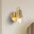 1 - Light Dimmable Armed Sconce