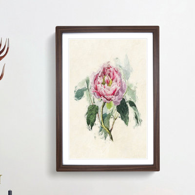 Illustration of a Pink Peony - Picture Frame Painting Print